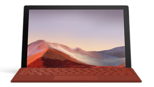 南岸清洁和维护 Surface
